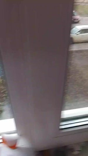 идём гулять