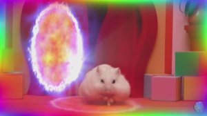 Хомяк против кальмара, игра 1. Главное испытание. Удивительный цифровой цирк. часть 1