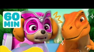 Щенячий патруль. Мега щенки и Котостая объединяются