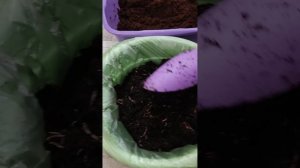 1. биогумус своими руками.