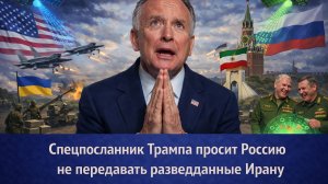 Спецпосланник Трампа Уиткофф попросил Россию не передавать разведданные Ирану