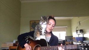 Песни под гитару