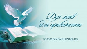 Дух жив для праведности. Проповедь Владимира Дорофеева