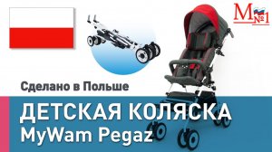 РАСПАКОВКА! Видеообзор детской инвалидной коляски. Прогулочная трость MyWam Pegaz от Медтехника №1