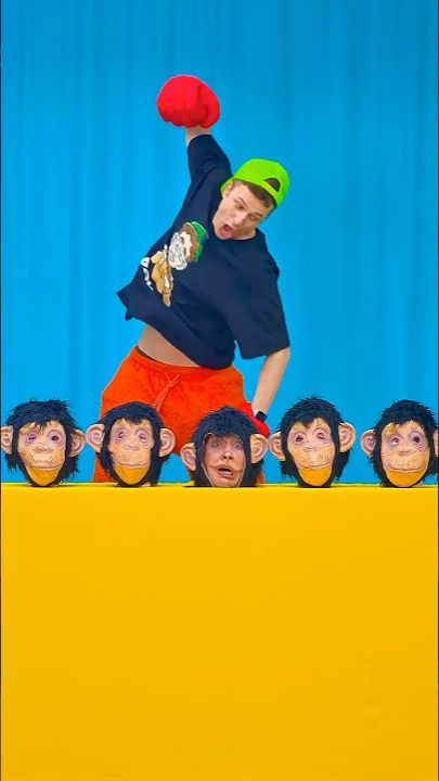 Найди настоящую обезьяну! 