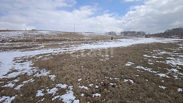 Березовка уч1