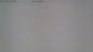 LIVE: channel43489494