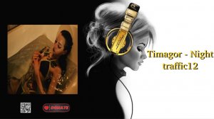 Timagor - Night traffic12
