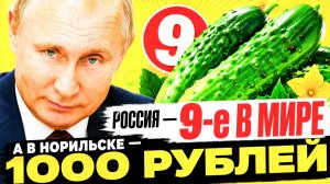 ЛЮКСЕМБУРГ И НОРИЛЬСК: ОДНА ЦЕНА — ДВЕ РАЗНЫЕ ТРАГЕДИИ!