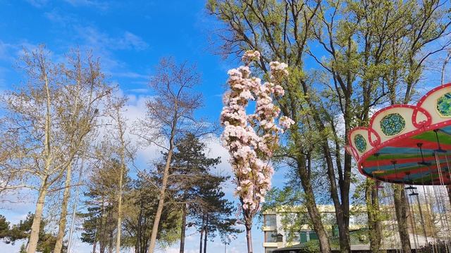 Анапа Сегодня 22.04.2026