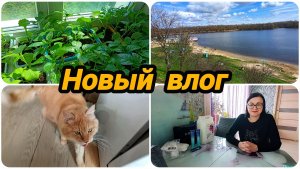 НЕ МНОГО ПРОГУЛЯЛАСЬ 😊 И СНОВА OZON 😄