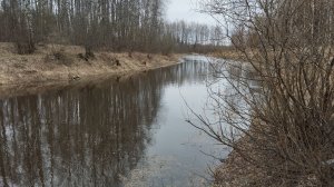 Рыбалка 2026.Ловим уклейку на маховую удочку.