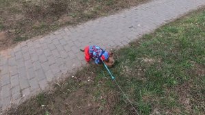 Прогулка с Джеффом по мини парку в Завидово (20.04.2026)