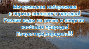 Мичуринская набережная в период весеннего паводка!Разлив воды на речке и энергия  изобилия природы!