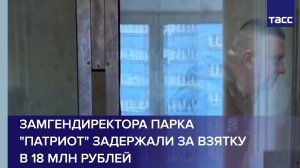 Замгендиректора парка "Патриот" задержали за взятку в 18 млн рублей