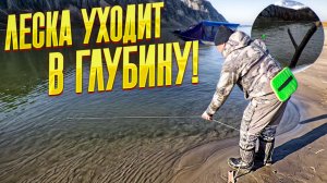 Чудо приманки косят всю рыбу! Он ловил, я подсачил, пока не нацепил такую же. Рыбалка удалась!