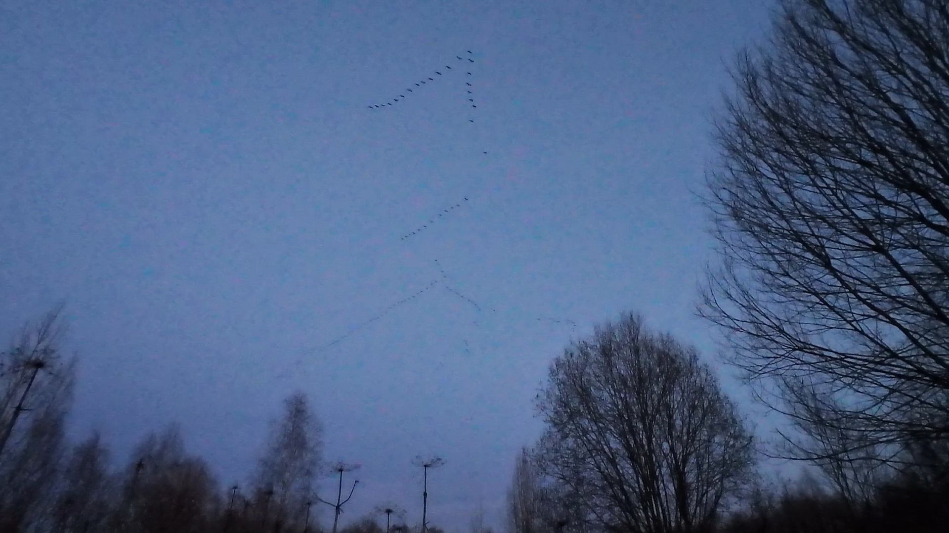 Разведка на вальдшнепа принесла большую неожиданность.