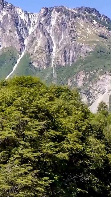 Я к гадалке шла, надеясь  на совет