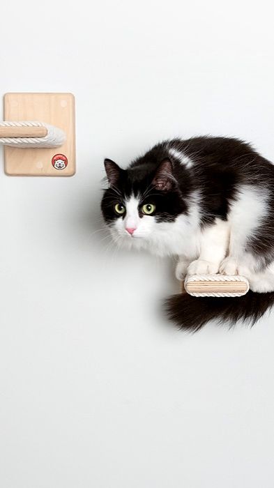 Когтеточка для стильных кошек