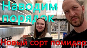 Новый сорт томатов в нашей деревне. Наводим порядок на участке. Еще больше рассады.