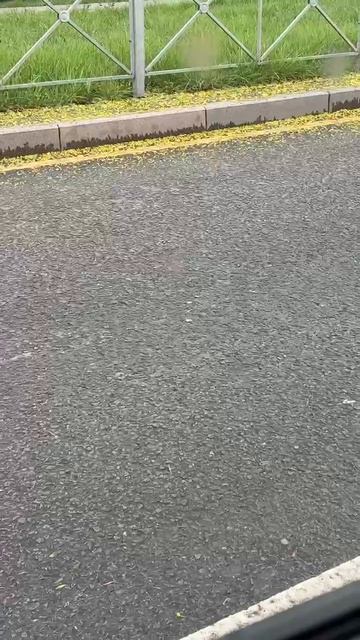 Тем временем в Донецке,снег