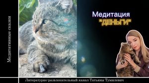 Медитация с Барсиком «ДЕНЬГИ»