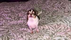 Доброго утречка и прекрасного настроения на весь день!