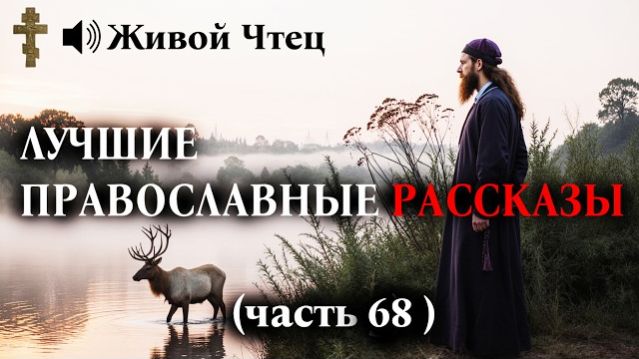 СУДЬЯ ОТПРАВИЛ РОДНОГО СЫНА В ТЮРЬМУ... ЛУЧШИЕ ПРАВОСЛАВНЫЕ РАССКАЗЫ часть 68