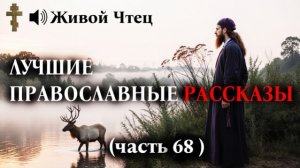СУДЬЯ ОТПРАВИЛ РОДНОГО СЫНА В ТЮРЬМУ... ЛУЧШИЕ ПРАВОСЛАВНЫЕ РАССКАЗЫ часть 68