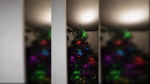 How the Grinch stole Christmas and my SOUL 😵  LIGHTS ARE OFF TIKTOK