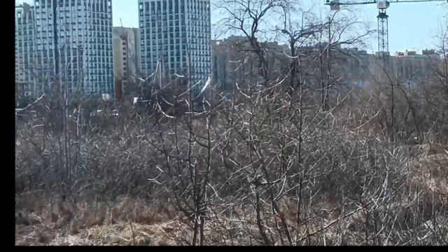 Опасайтесь торфяных болот