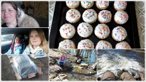 Булочки в виде куличей🔥Съездили на кладбище/Прошлый сад и разочаровались/Посадила капусту