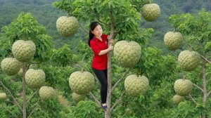 День сбора урожая, гигантских диких яблок. Продаем урожай на рынке. — Elli Life.