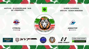 КУБОК ТАТАРИНА 23-25 апреля матч 2 «Стрела» г. Казань - «Авиатор» г. Казань