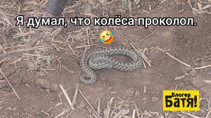 Батя на Работе.