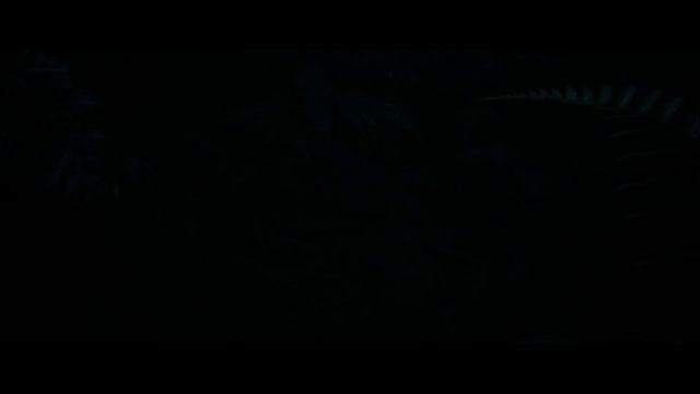 Джунгли 2017 смотреть онлайн
