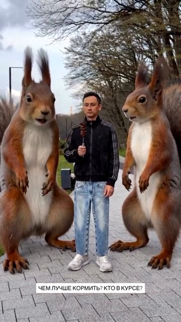 что можно увидеть утром