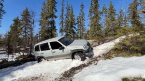 в этом году открыли сезон