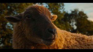 Трейлеры на русском 2026 (Моана, Следствие ведут овечки)