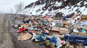 Цветы на обочине