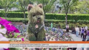 В Шанхае открылся фестиваль цветов с пятиметровой скульптурой собаки из живых растений