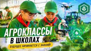 Почему родители отправляют детей в сельские школы из города?