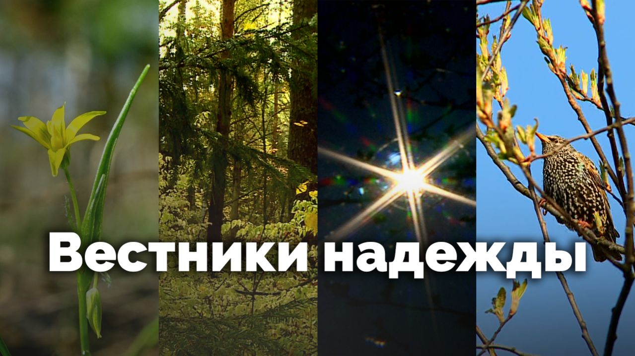 Вестники надежды | С любовью к русской природе