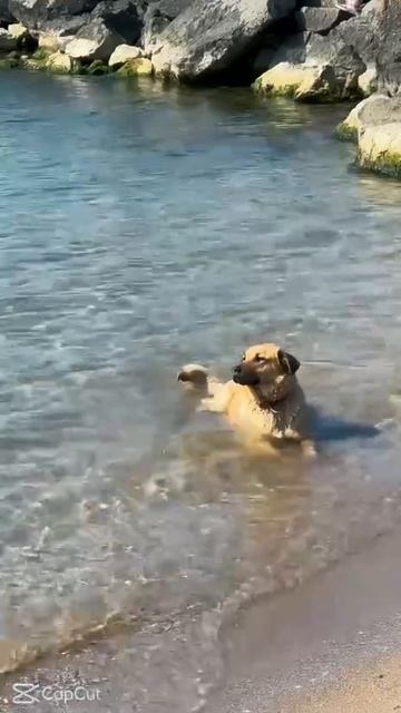 Путешествуй и зарабатывай вместе с нами 🌏