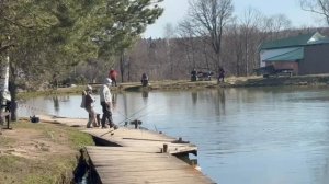 поимки форели