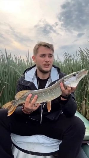 Клип @zatropheem