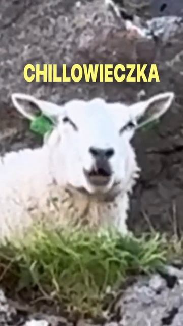 Музыкальный клип