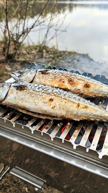 Когда дым уходит, начинается настоящее