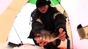 Зимняя рыбалка❄🐟 очень душевная получилась😉.3.04.2026 г.