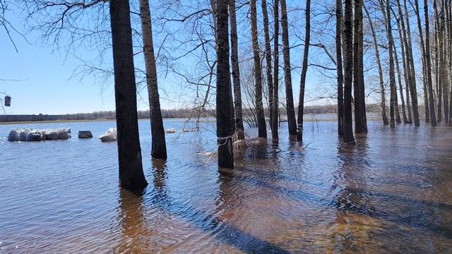 Боголюбовский луг. Половодье